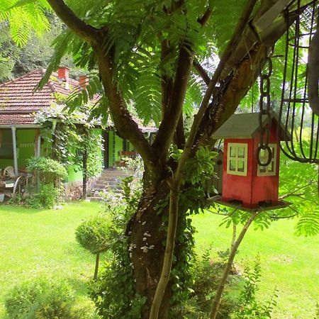 Etno-Kuca "Leka" Klisura Villa Деспотовац Екстериор снимка