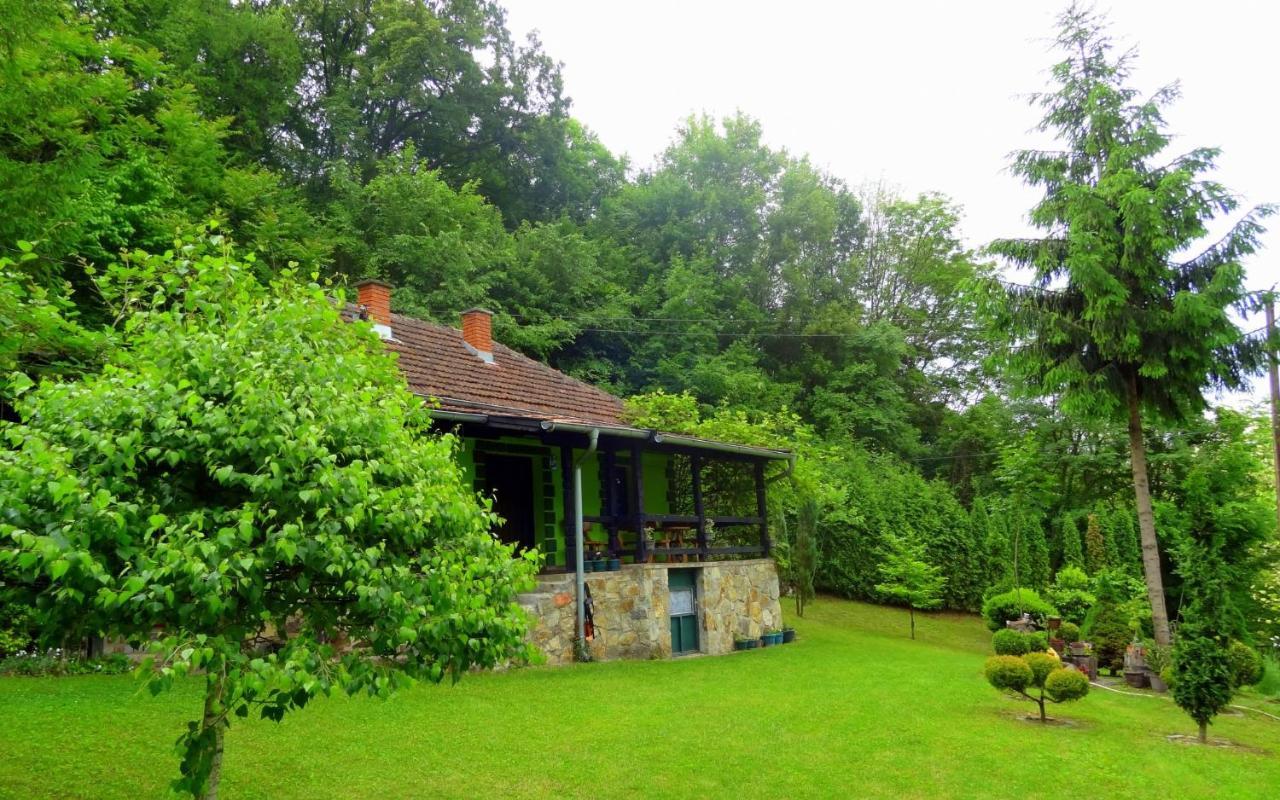 Etno-Kuca "Leka" Klisura Villa Деспотовац Екстериор снимка