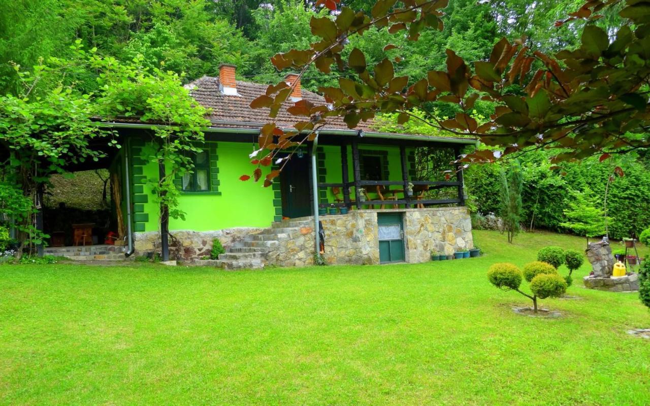 Etno-Kuca "Leka" Klisura Villa Деспотовац Екстериор снимка