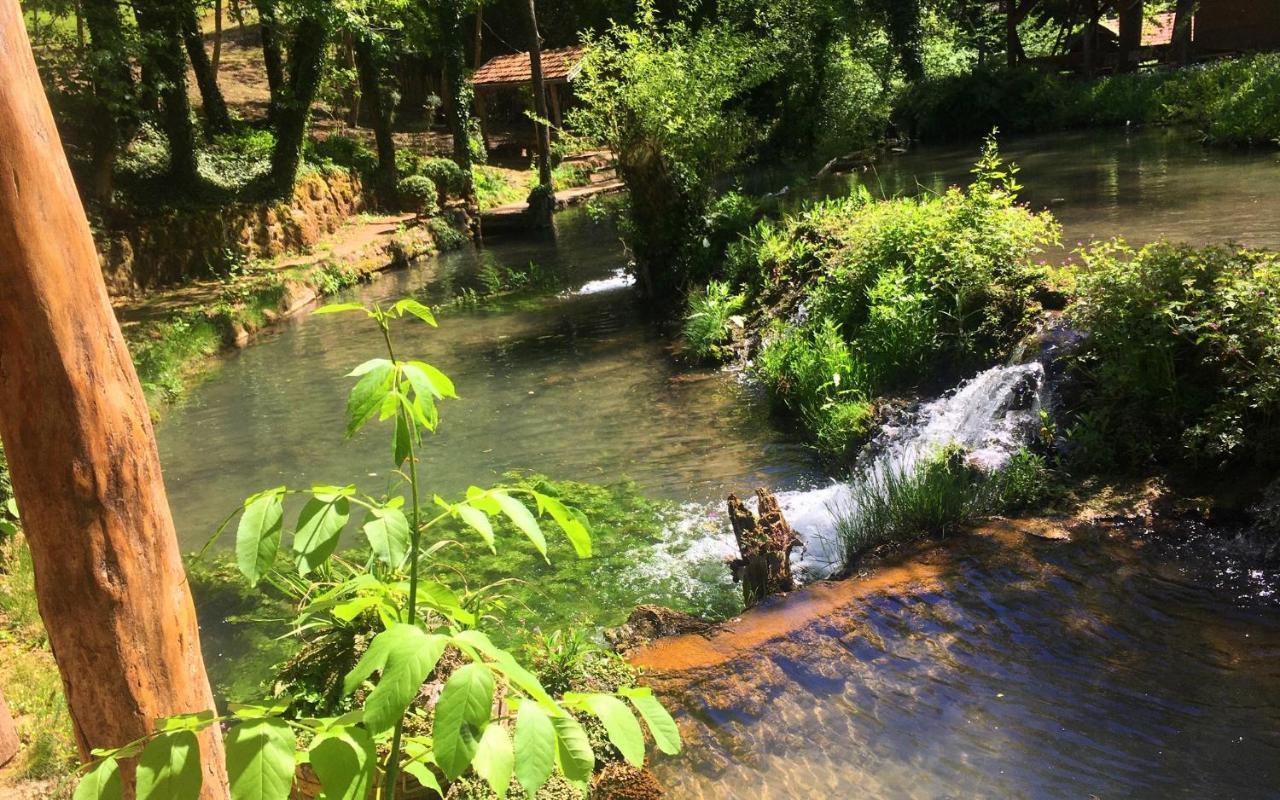 Etno-Kuca "Leka" Klisura Villa Деспотовац Екстериор снимка