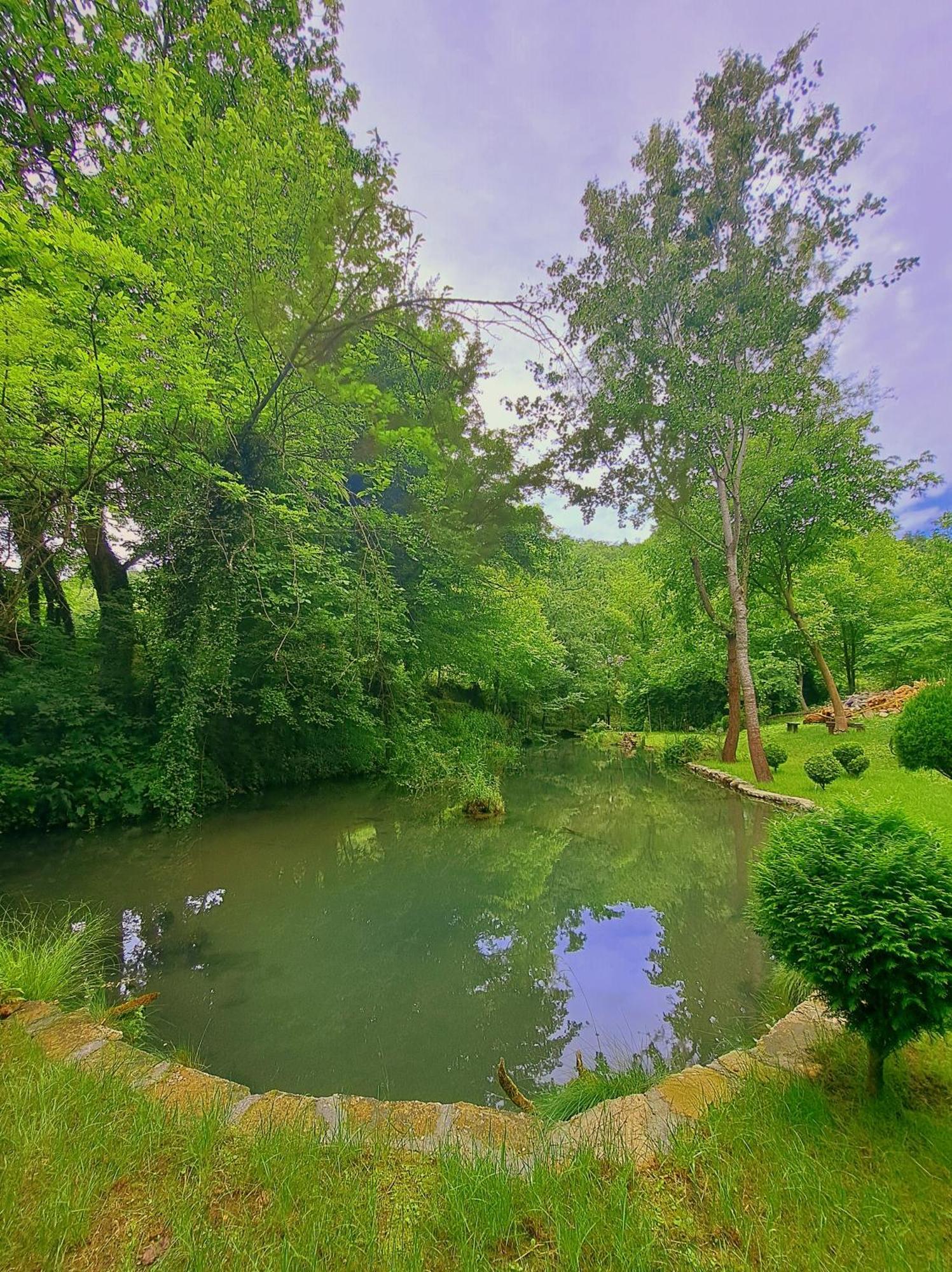 Etno-Kuca "Leka" Klisura Villa Деспотовац Екстериор снимка