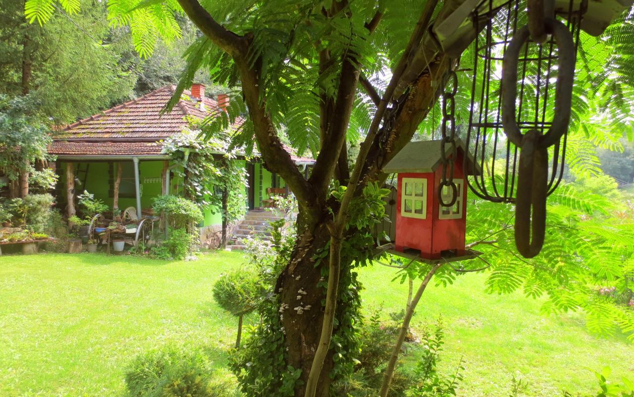 Etno-Kuca "Leka" Klisura Villa Деспотовац Екстериор снимка