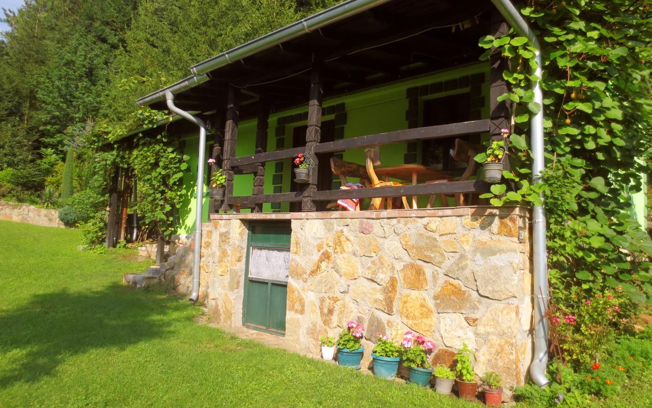 Etno-Kuca "Leka" Klisura Villa Деспотовац Екстериор снимка