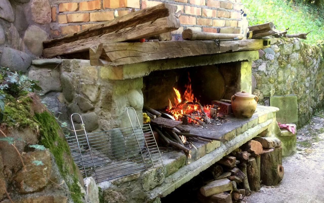 Etno-Kuca "Leka" Klisura Villa Деспотовац Екстериор снимка