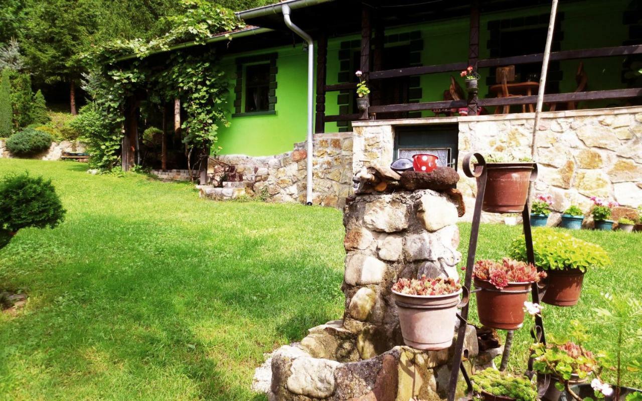Etno-Kuca "Leka" Klisura Villa Деспотовац Екстериор снимка